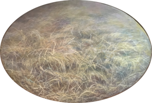 06A_06_Quinto Martini, Paglia_presso Stefania Martini_bis