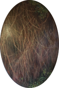 06A_07_Quinto Martini, Vitalbe_presso Stefania Martini