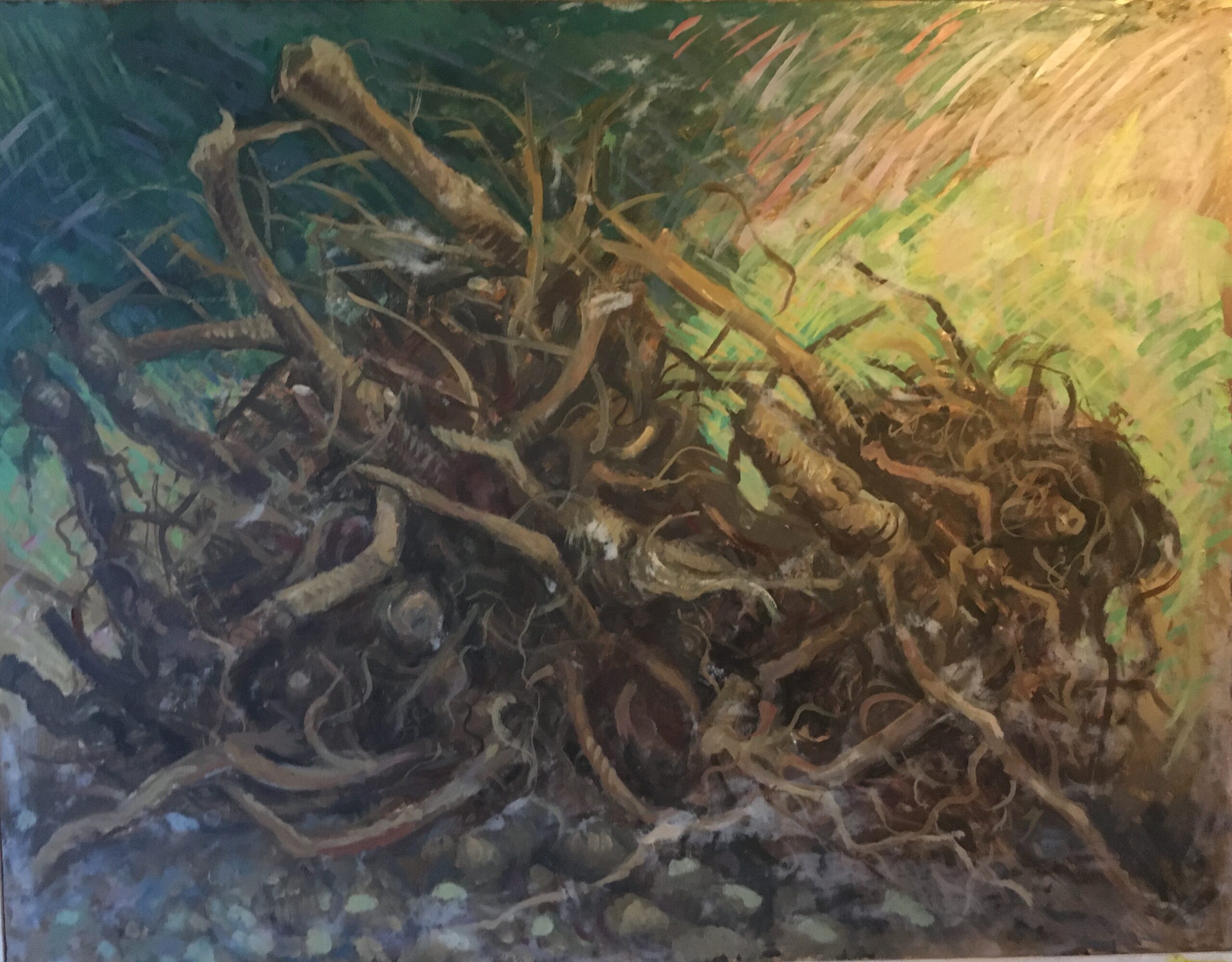 06A_13_Quinto Martini, Groviglio di radici_presso Stefania Martini