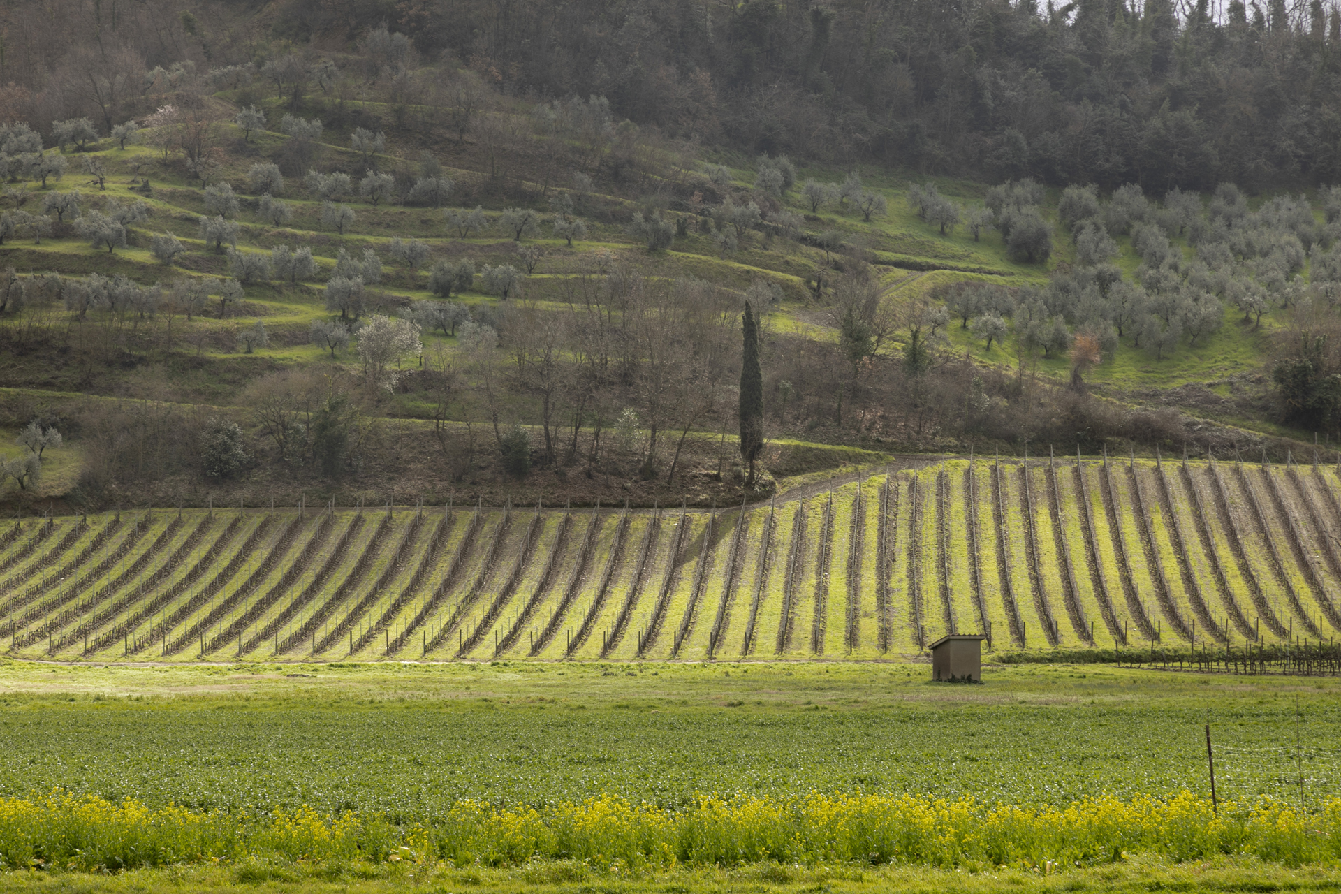 06B_Anna_Ratajczyk_02