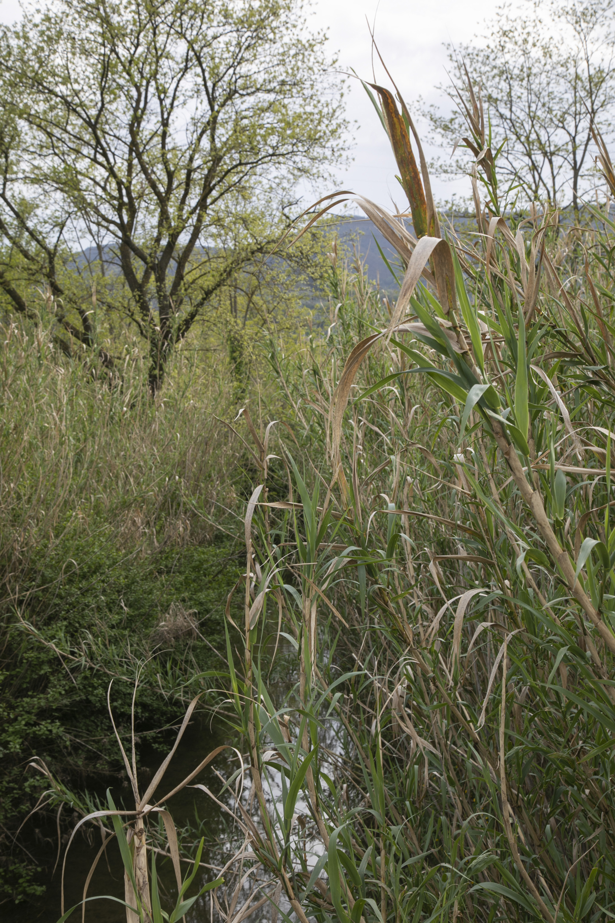 06B_Anna_Ratajczyk_03