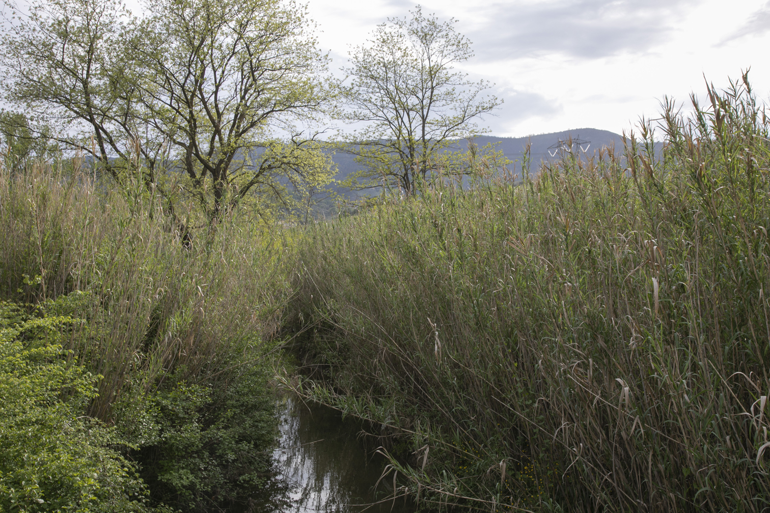 06B_Anna_Ratajczyk_05