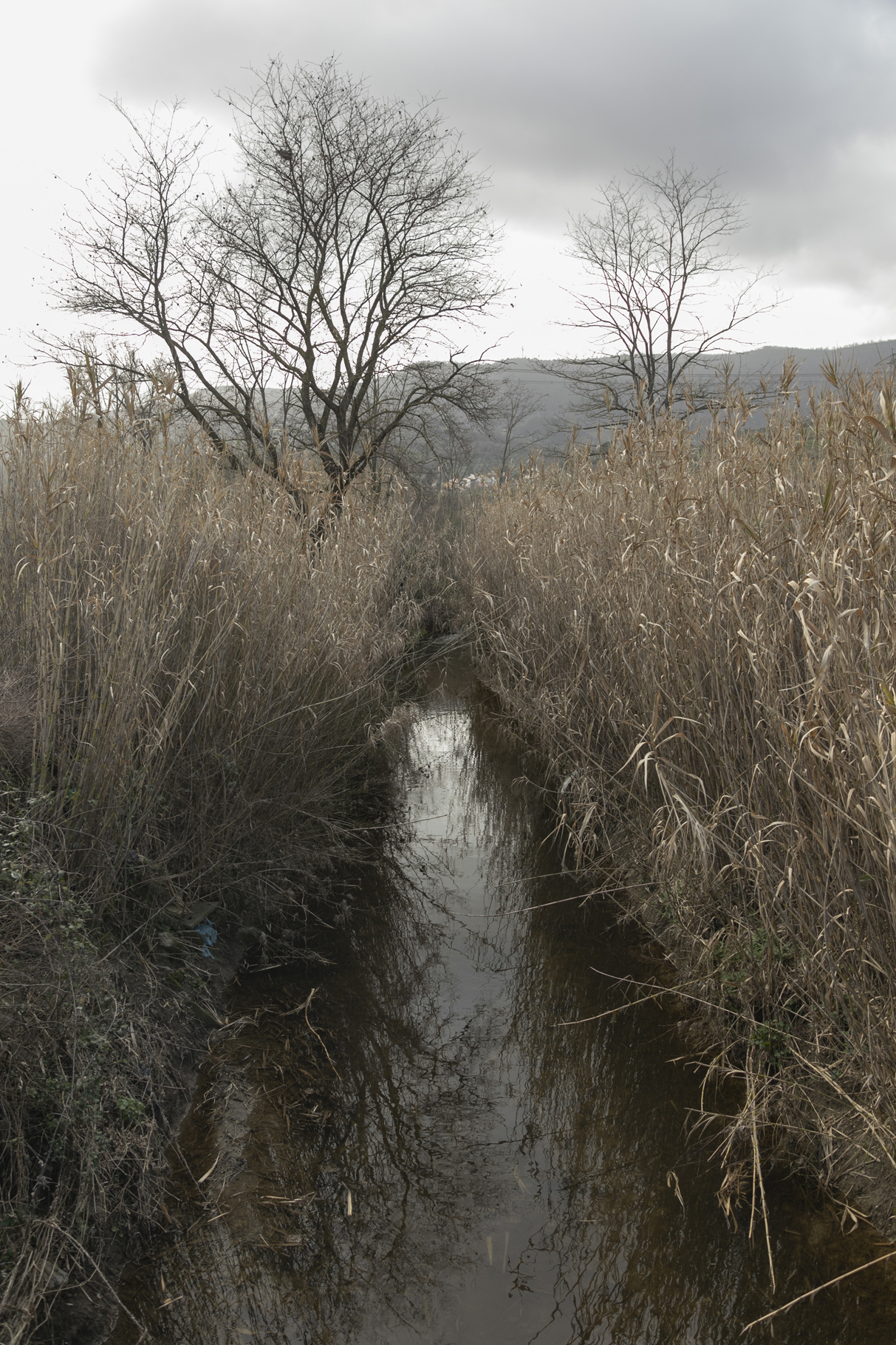 06B_Anna_Ratajczyk_07