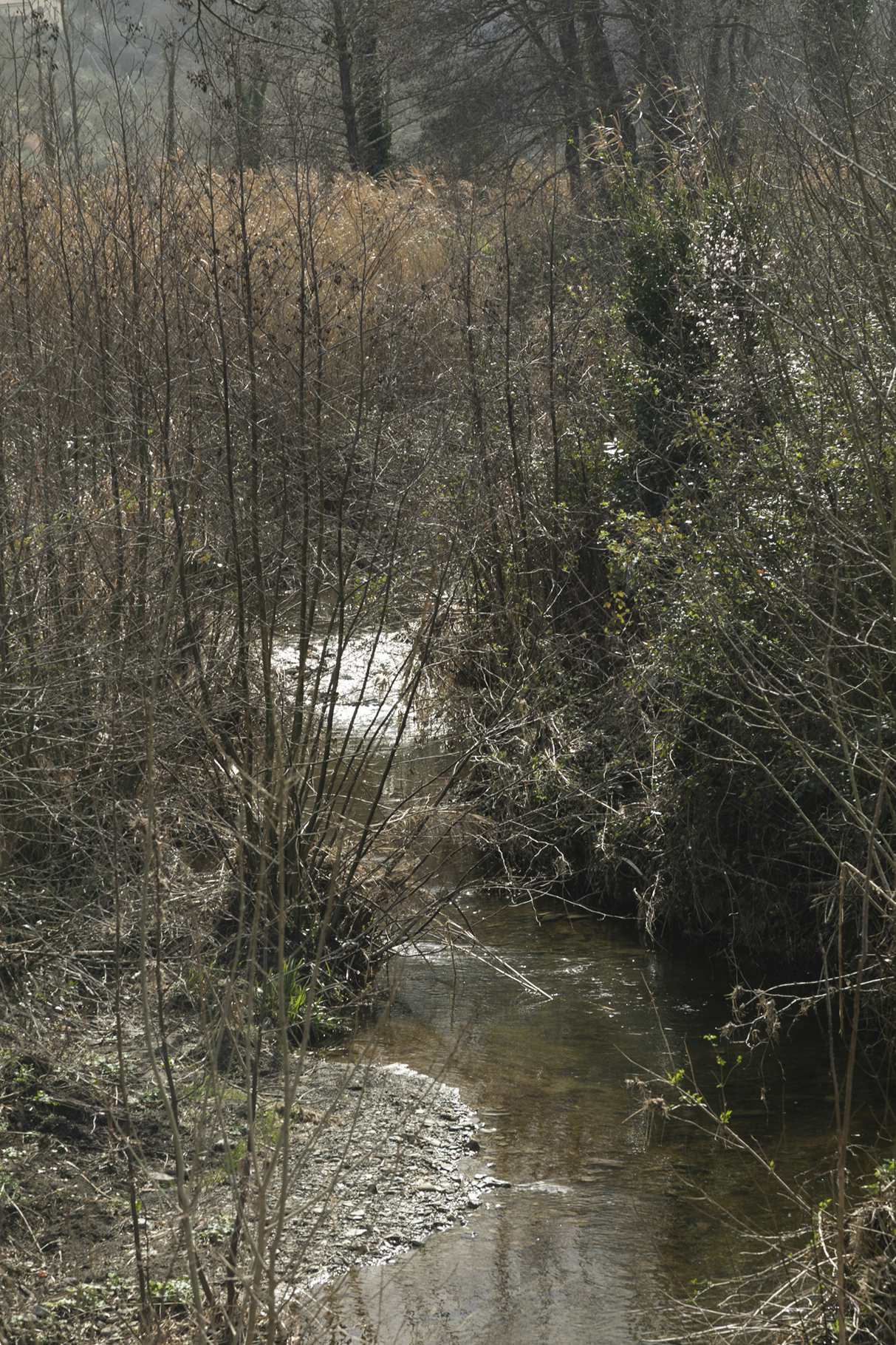 06B_Anna_Ratajczyk_08A