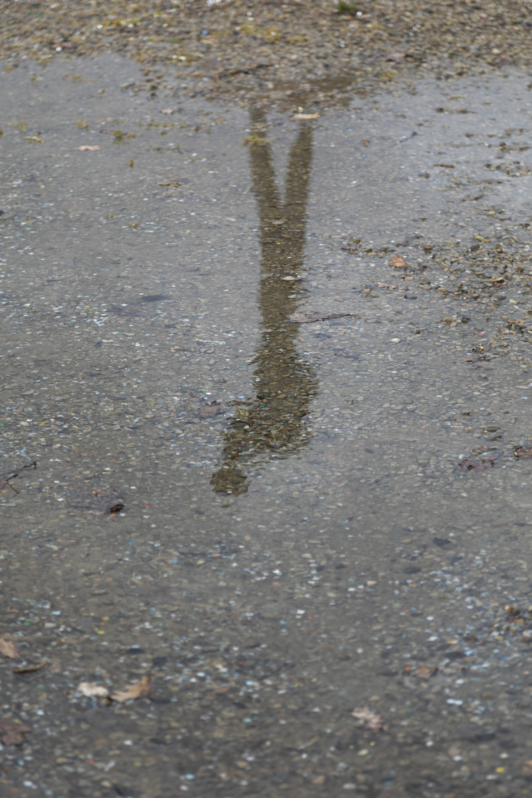 06B_Anna_Ratajczyk_09A