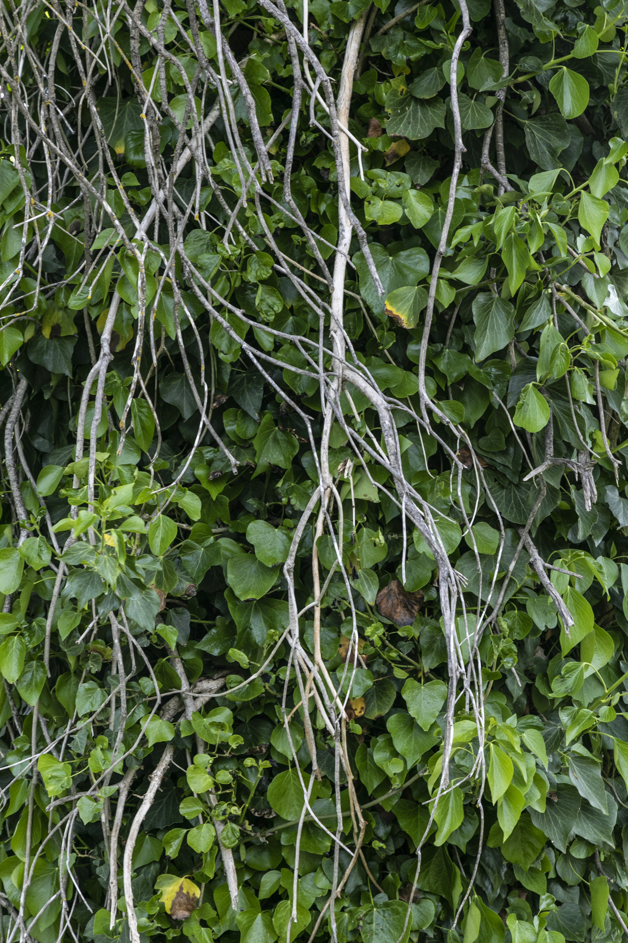 06B_Anna_Ratajczyk_11B