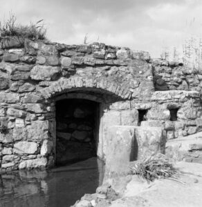 06B_Aurora_Montecucco_03