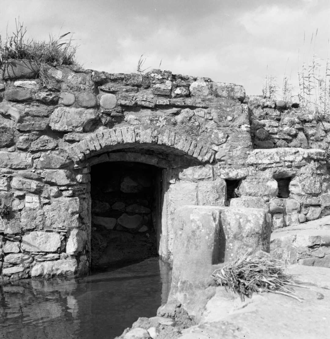 06B_Aurora_Montecucco_03