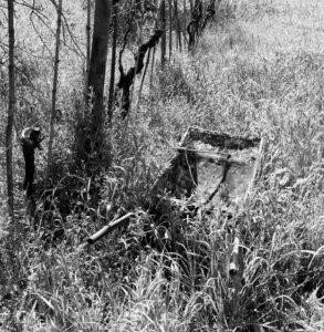 06B_Aurora_Montecucco_11A