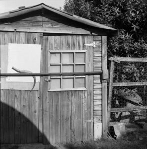 06B_Aurora_Montecucco_13A