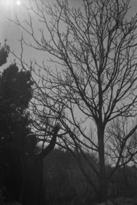 06B_Claudio_Provenza_02