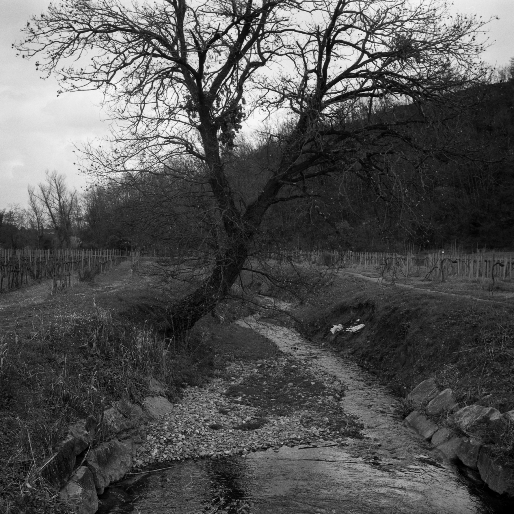 06B_Claudio_Provenza_07