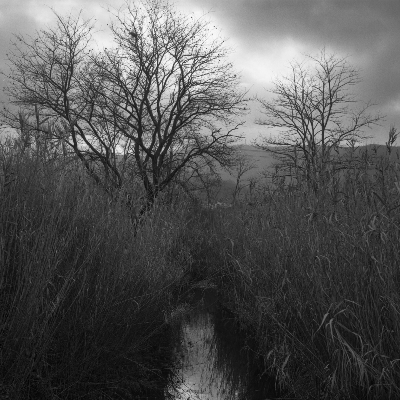 06B_Claudio_Provenza_10