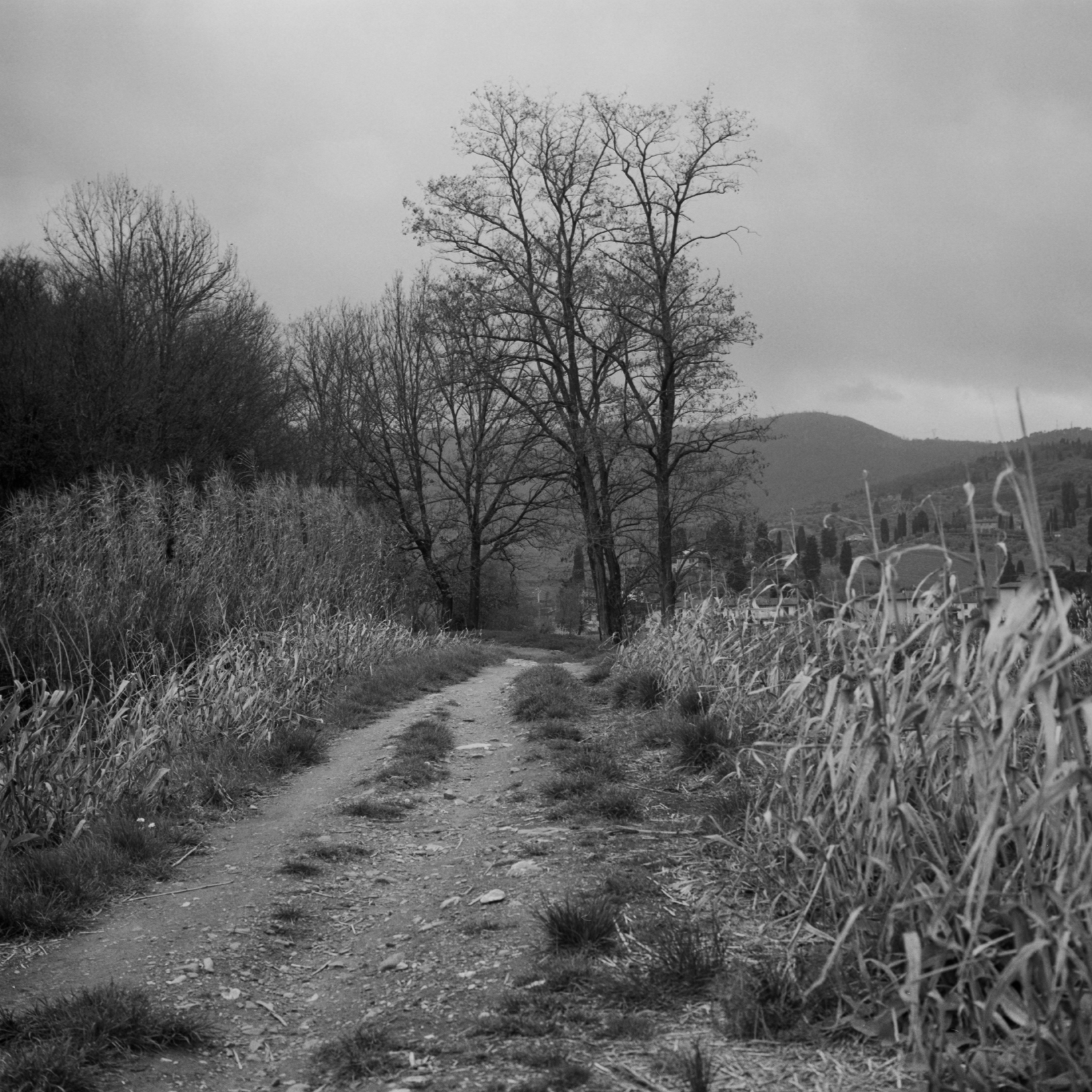 06B_Claudio_Provenza_13