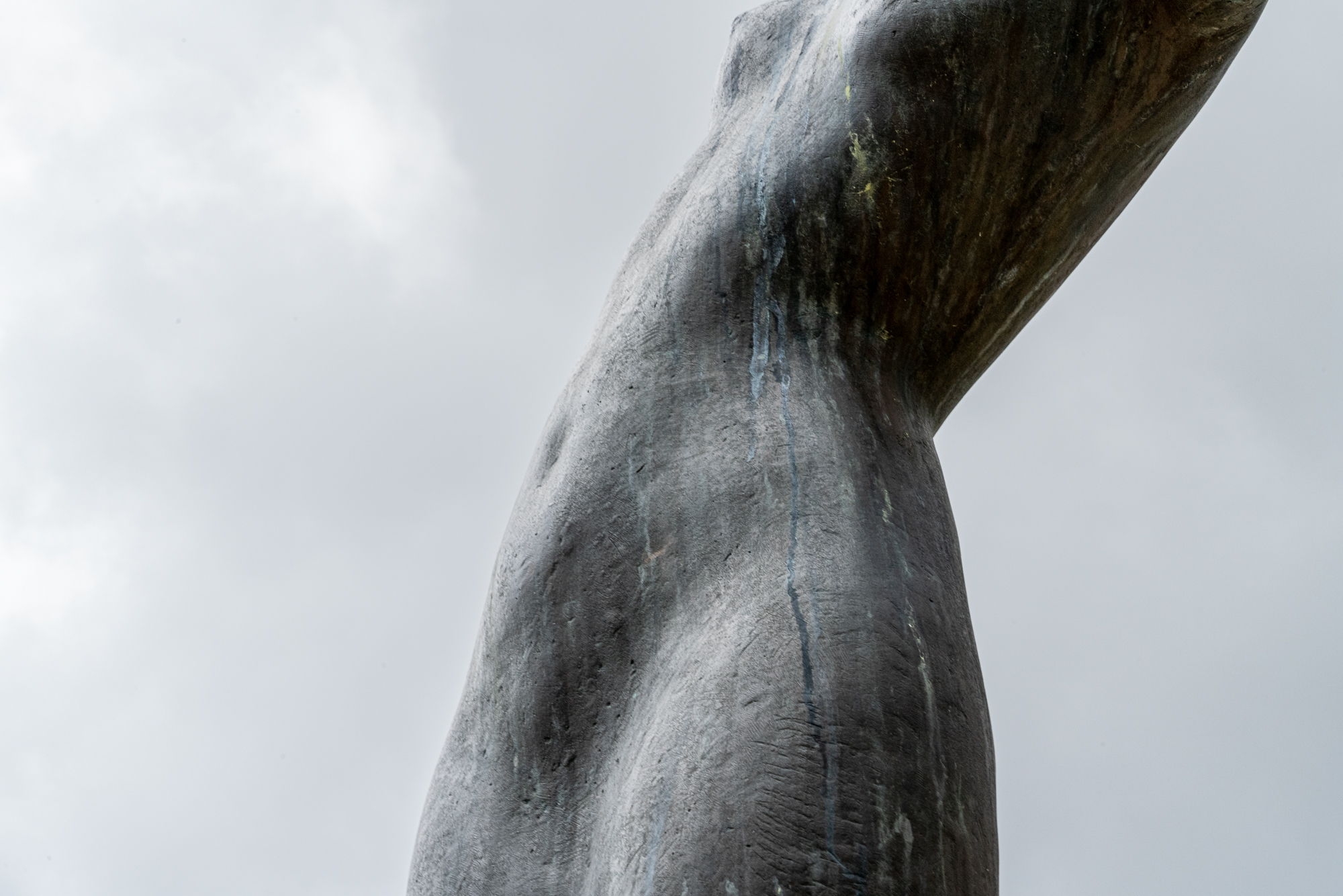 06B_Elisa_Norcini_03