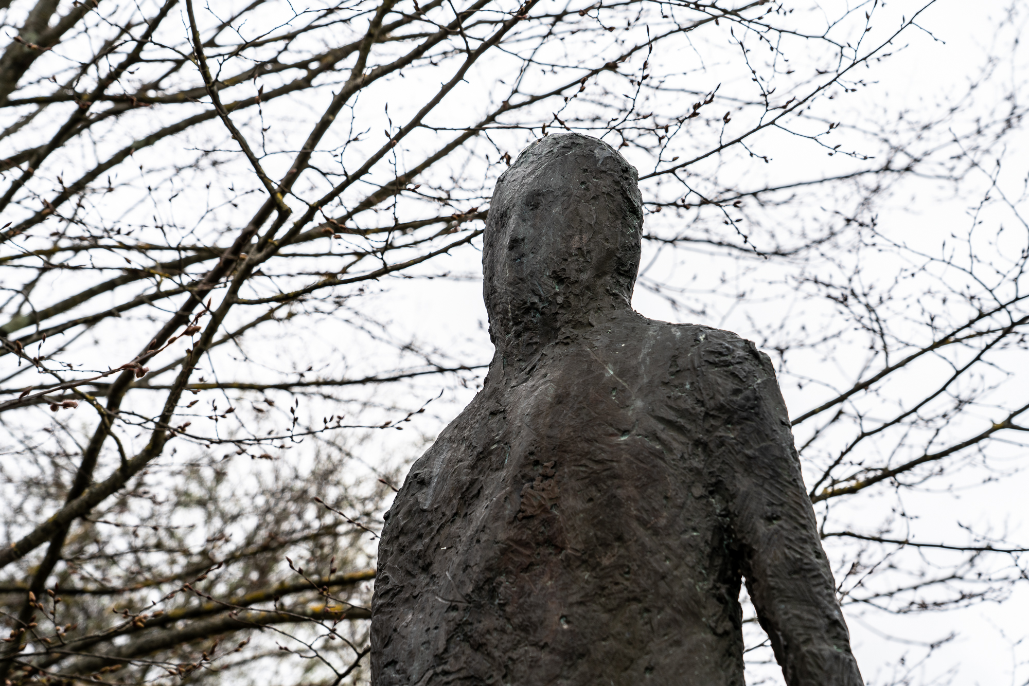 06B_Elisa_Norcini_04