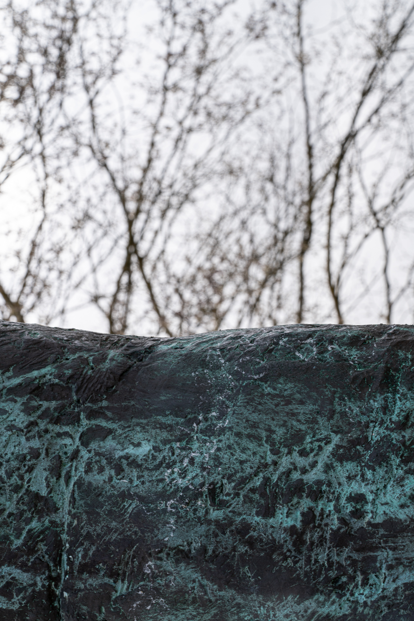 06B_Elisa_Norcini_06