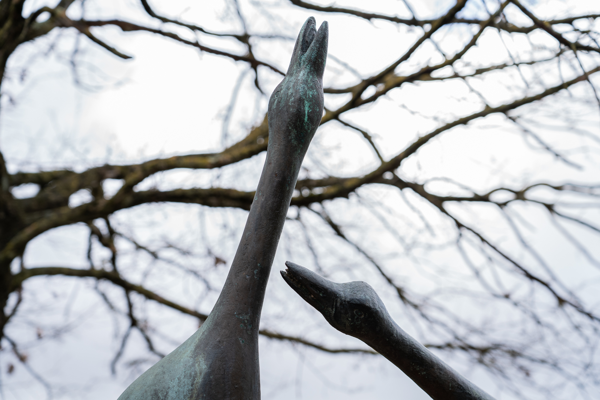 06B_Elisa_Norcini_07