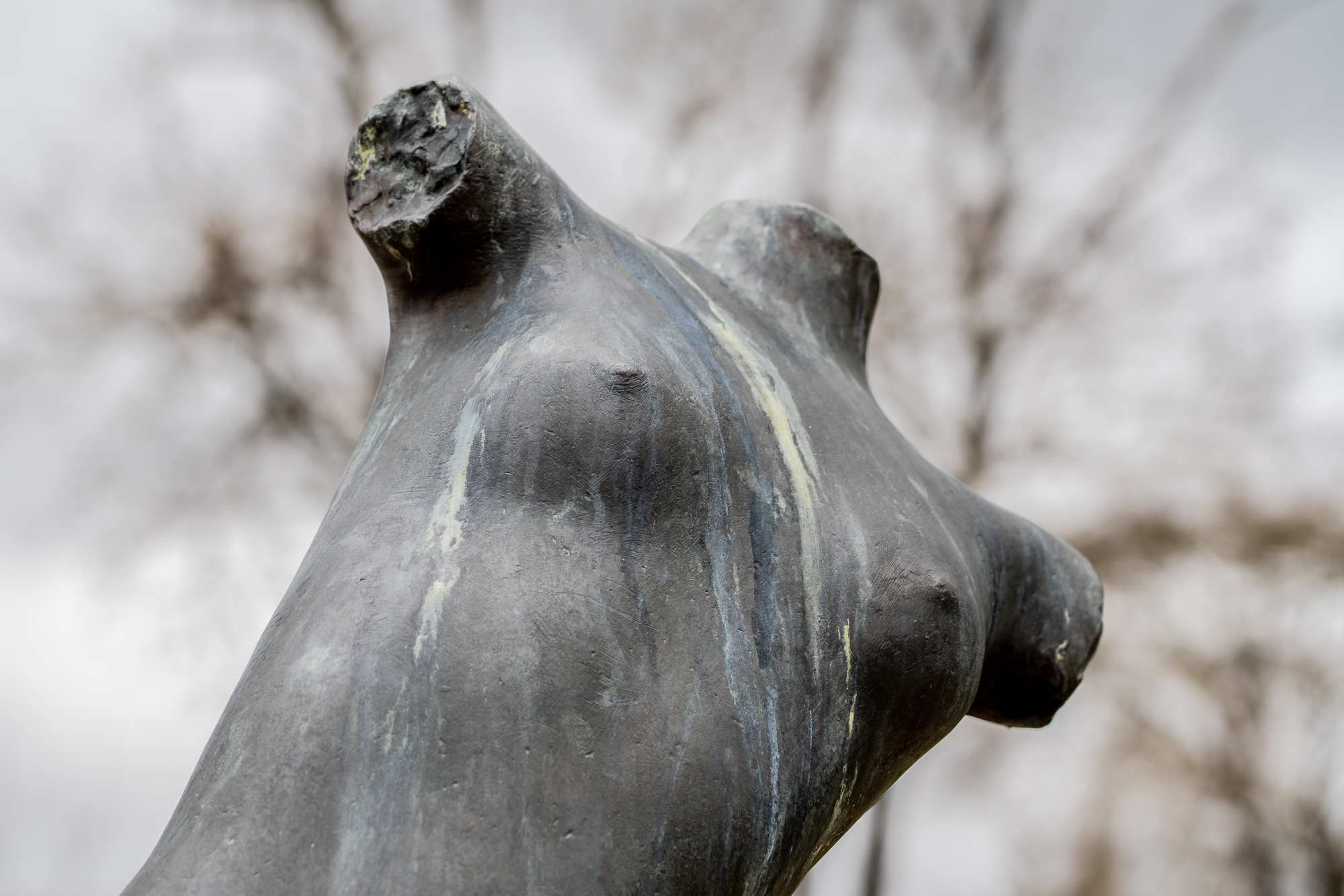 06B_Elisa_Norcini_08