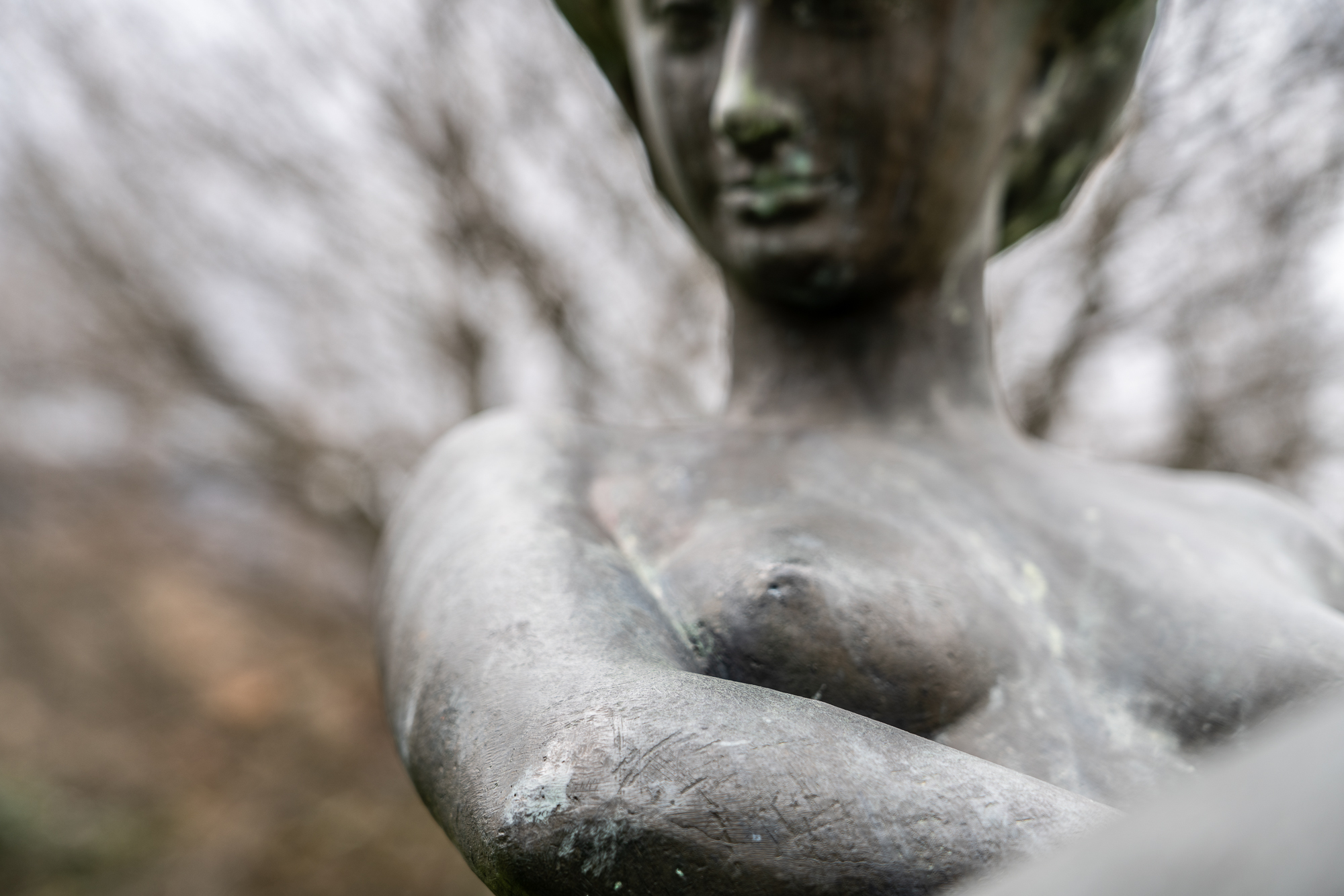 06B_Elisa_Norcini_10