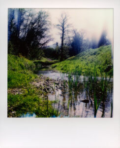 06B_Gabriele_Fossi_02B