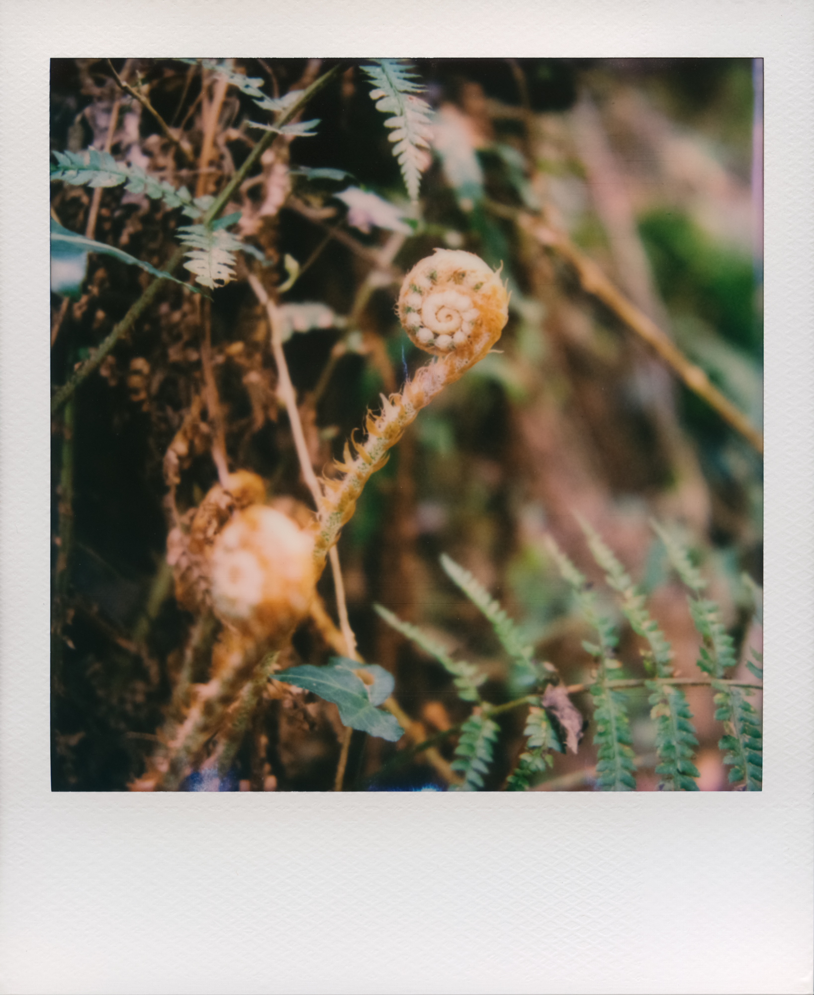 06B_Gabriele_Fossi_04B