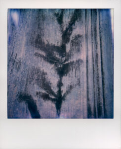 06B_Gabriele_Fossi_05B