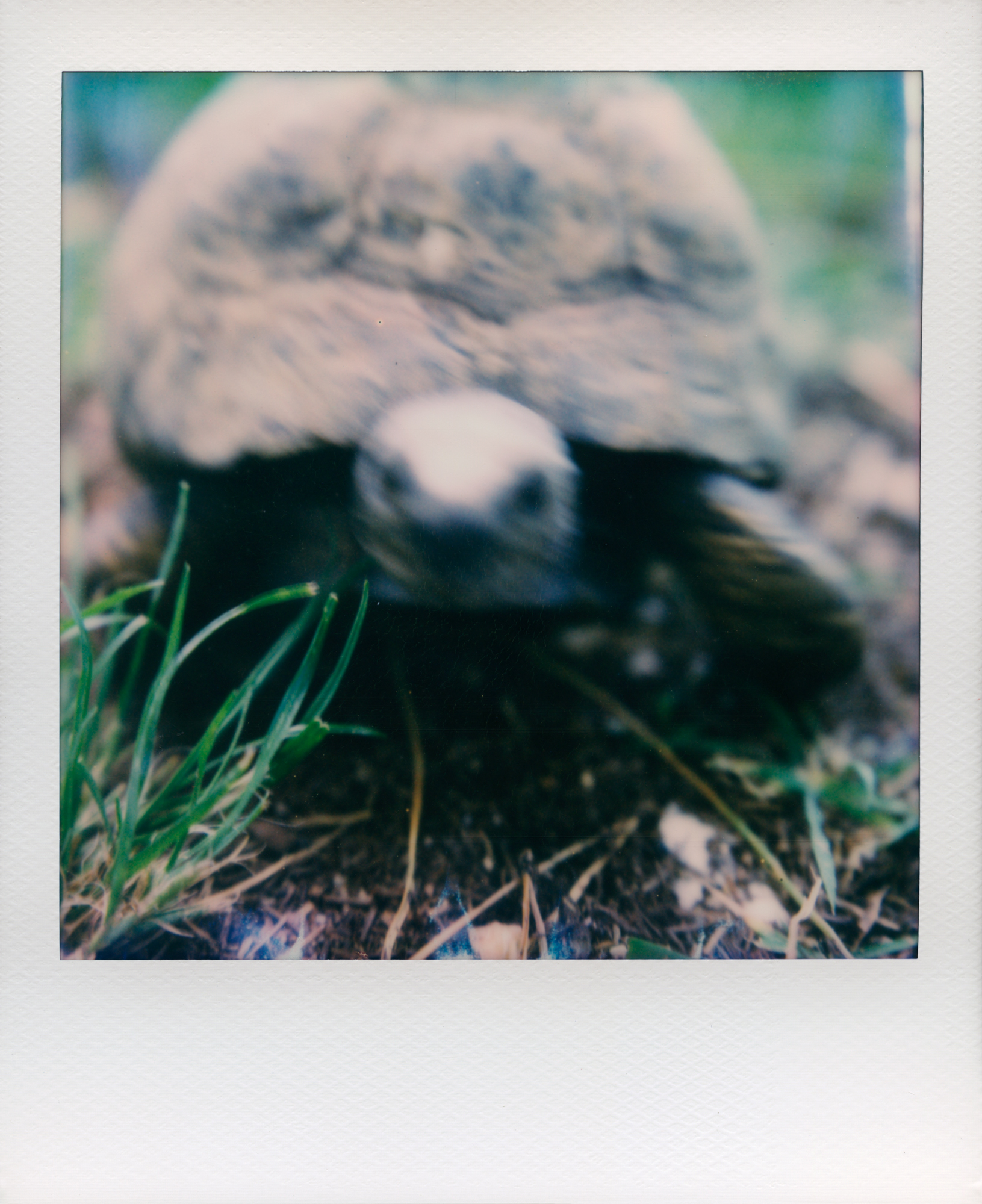 06B_Gabriele_Fossi_12