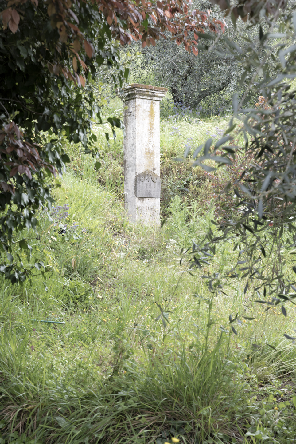 06B_Giorgio_Socci_02