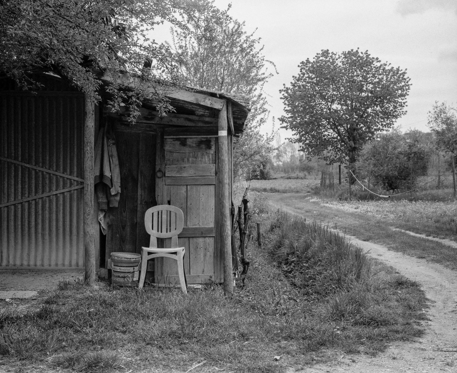 06B_Leonardo_Bocci_03