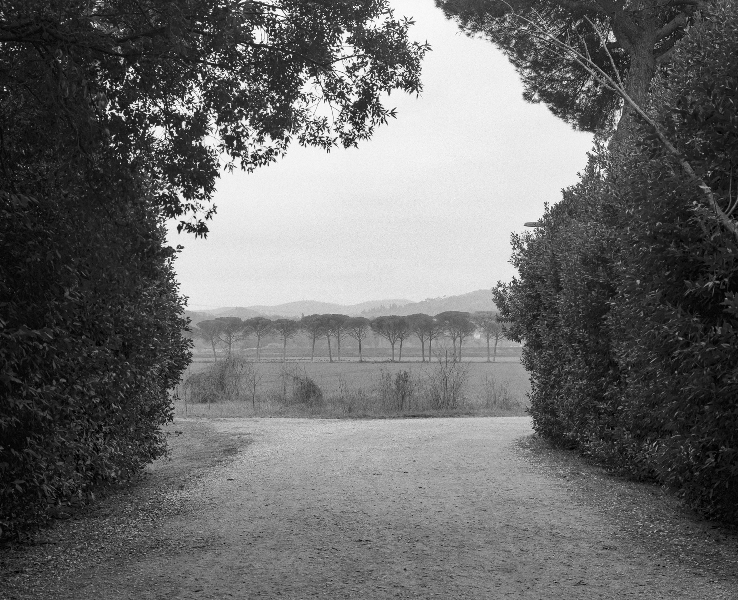 06B_Leonardo_Bocci_05